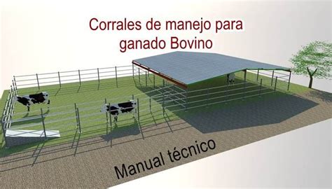 Esquema de un corral bovino con dimensiones adecuadas y sistema de ventilación
