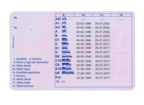 Ilustración de un carnet de conducir con diferentes tipos destacados