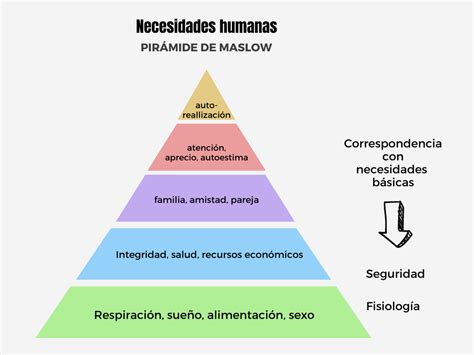 Esquema de las necesidades básicas que cubre la pensión de alimentos