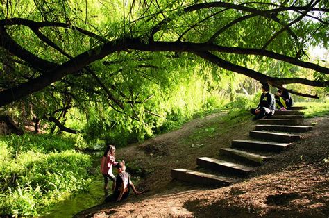 Fotografía del Parque El Huinganal en Lo Barnechea, mostrando su paisajismo de bajo consumo hídrico