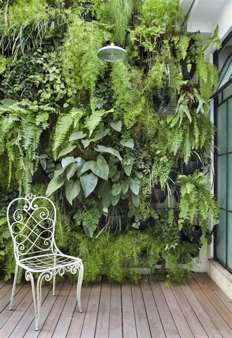 Jardín vertical con plantas aromáticas y fresas en un espacio sensorial