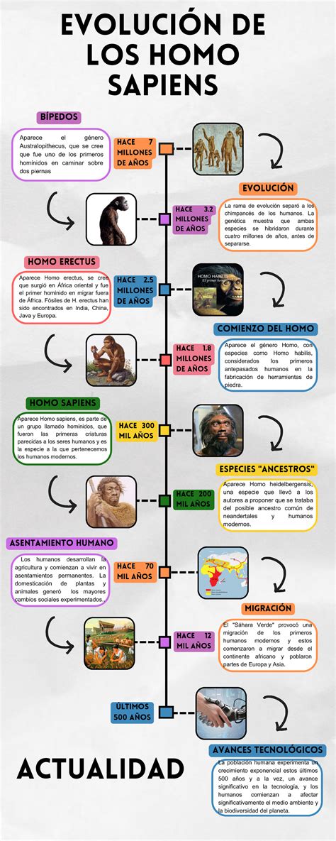infografía sobre la evolución del modelo GSE en Chile y la división C1a/C1b