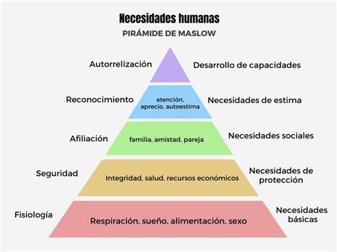 Infografía: Paralelos entre las necesidades de cuidado de niños y ancianos