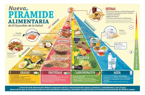 Infografía: Pirámide alimenticia para la tercera edad