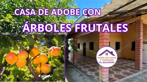 Foto de Casablanca Suites con árboles frutales y decoración artística