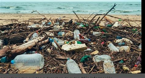 Contaminación por plásticos en zonas costeras o sitios de manglares