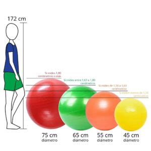 Esquema de selección del tamaño de la fitball según la altura