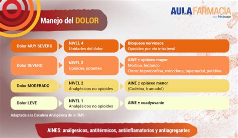 Infografía sobre la importancia del abordaje multidisciplinario en el manejo del dolor y los cuidados paliativos
