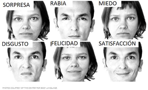 Esquema detallado de las microexpresiones faciales y los músculos involucrados según la investigación de Paul Ekman