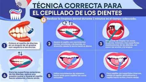 Esquema visual de la técnica de cepillado dental correcta para niños