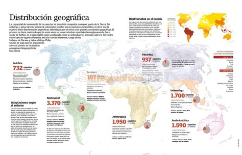 Infografía mostrando la distribución geográfica de la discapacidad infantil