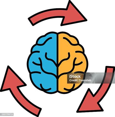 Esquema de un cerebro con flechas indicando concentración y flujo de información