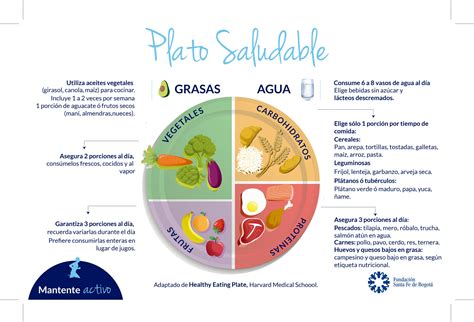 infografía de un plato saludable para adultos mayores