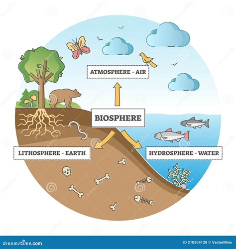 Esquema de la biosfera y sus interacciones con la actividad humana