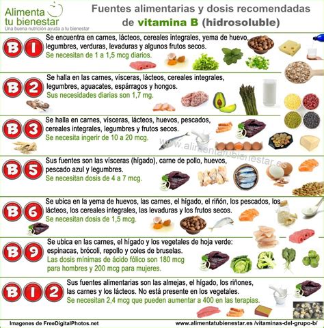 Infografía que muestra fuentes alimenticias de proteínas, calcio, omega-3, vitaminas B y fibra