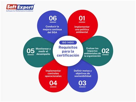 Esquema de los requisitos para la certificación de salud irrecuperable para funcionarios públicos