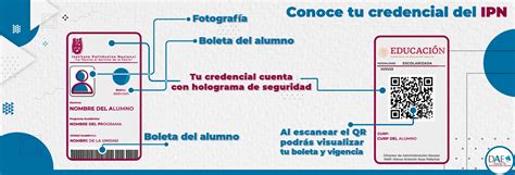 Infografía: Elementos personalizables en una credencial institucional