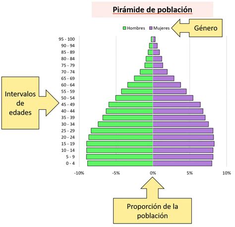 Esquema de las presiones demográficas sobre el sistema de pensiones (pirámide de población invertida)