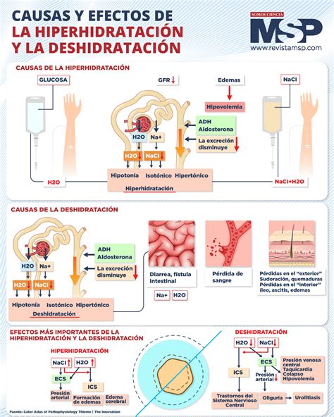 Infografía sobre las causas y efectos de la xerostomía