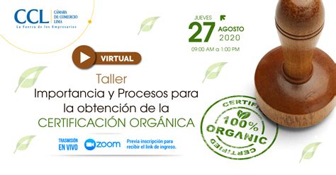 Infografía: Proceso de certificación de productos orgánicos en Chile