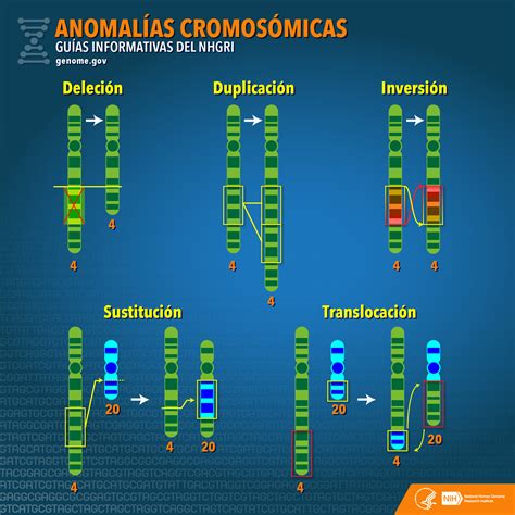 Ejemplos de cariogramas que muestran anomalías cromosómicas comunes