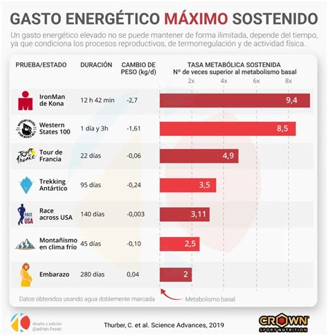 Gráfico comparativo del gasto energético al caminar hacia adelante y hacia atrás