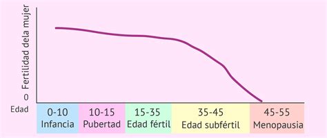 Esquema del reloj biológico femenino y la curva de fertilidad con la edad
