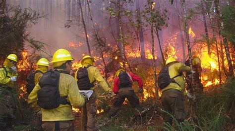 Camioneta forestal CONAF equipada para prevención y combate de incendios