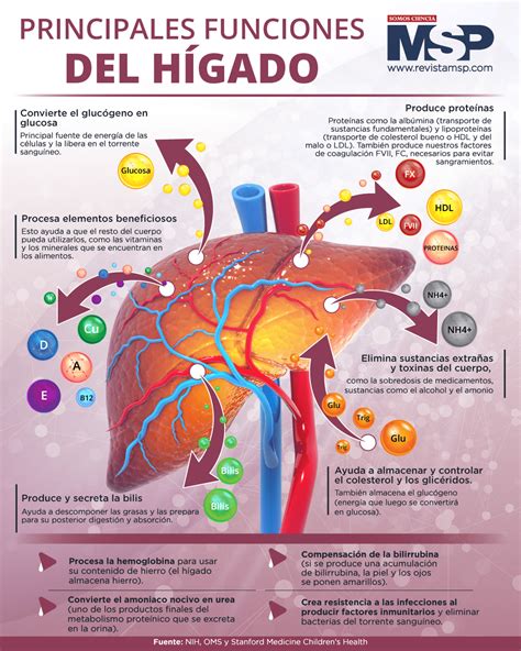 Infografía explicando las principales funciones de los CAPRI en el sistema de pensiones