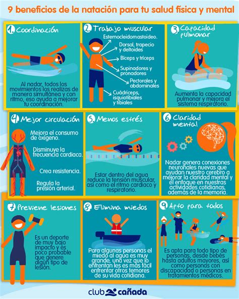 infografía con los beneficios generales de la natación en adultos mayores: salud cardiovascular, fuerza muscular, flexibilidad, reducción de estrés, salud mental.