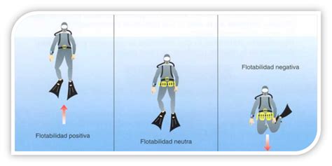 esquema mostrando cómo la flotabilidad del agua reduce la presión sobre las articulaciones de la rodilla y la cadera.