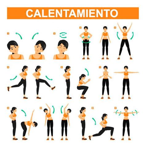 ilustración mostrando una secuencia de ejercicios de calentamiento para la natación: rotación de brazos, estiramiento de piernas, ejercicios de respiración.