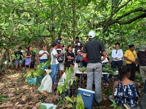 Esquema: Pilares de la reducción de la vulnerabilidad en barrios para la prevención del delito