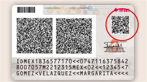 Ejemplo de la parte frontal y trasera de la credencial INE