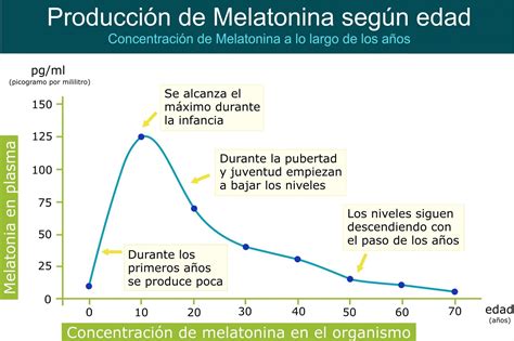Gráfico mostrando la producción de melatonina por la glándula pineal a lo largo de un ciclo de 24 horas