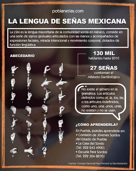 Infografía: Componentes de la lengua de señas (manuales y no manuales)
