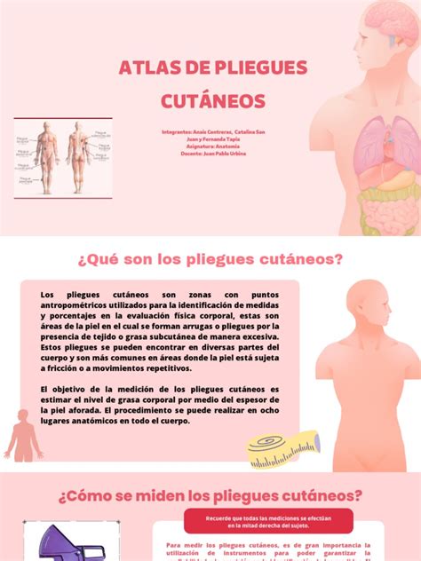 Infografía o esquema de cómo medir pliegues cutáneos y perímetros corporales en ancianos